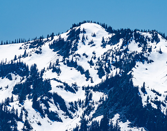 Hurricane Ridge
