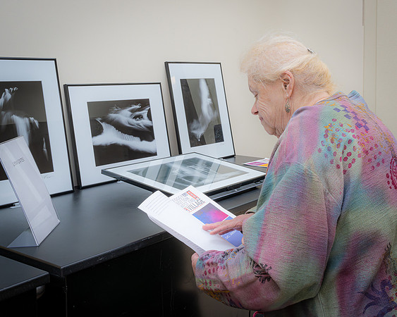 Christina Farnsworth, Art in the Atrium 2023