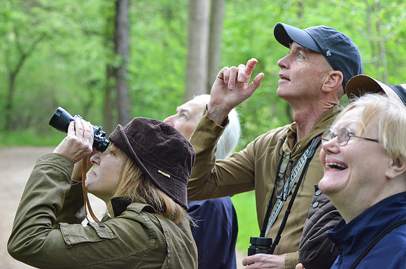 Birdwatching, May 2014