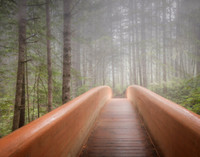 Forest Bathing 2026
