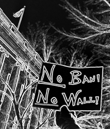 Travel Ban Protest 2017