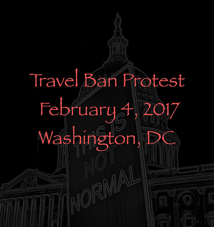 Travel Ban Protest 2017