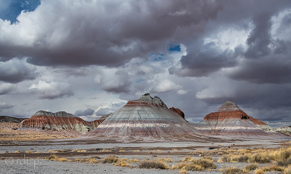 Painted Desert & Petrified Forest 2018