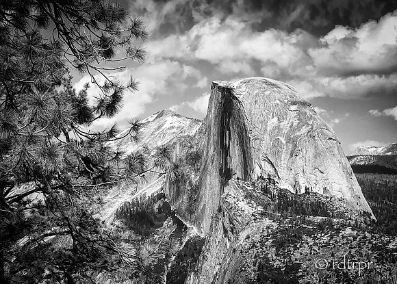 Yosemite B&W 2018