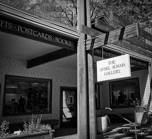 Yosemite B&W 2018