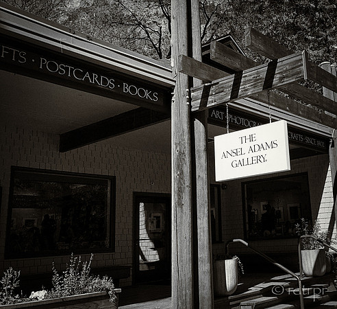 Yosemite B&W 2018