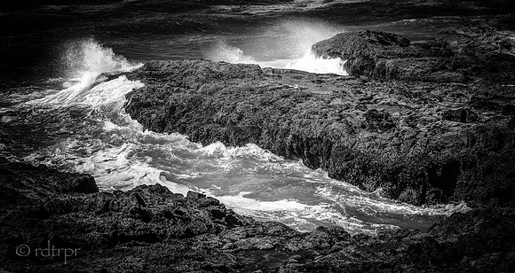 Oregon Coast 2018