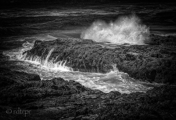 Oregon Coast 2018