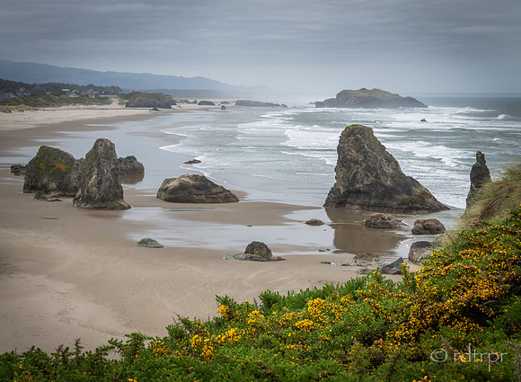 Oregon Coast 2018