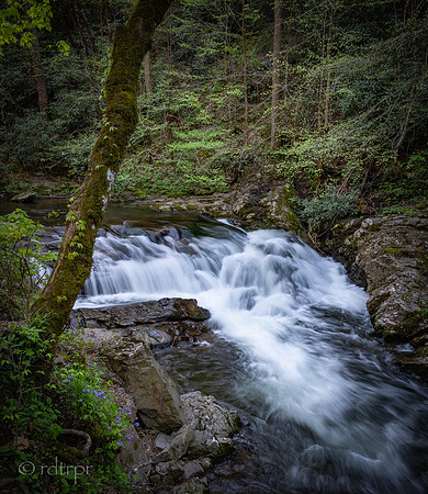 Great Smoky Mountains 2019
