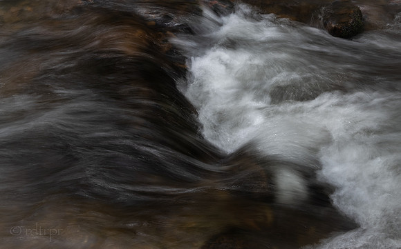Great Smoky Mountains 2019