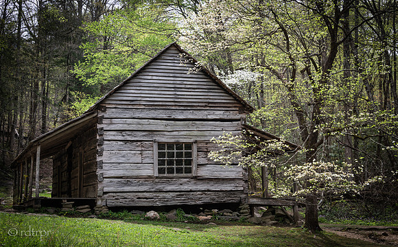 Great Smoky Mountains 2019