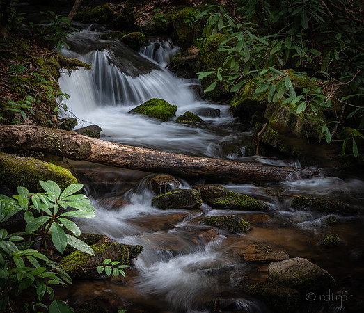 Great Smoky Mountains 2019