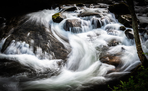 Great Smoky Mountains 2019