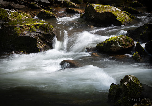 Great Smoky Mountains 2019