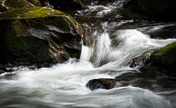 Great Smoky Mountains 2019