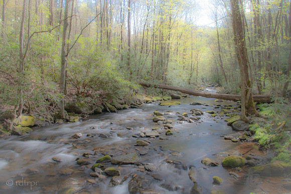 Great Smoky Mountains 2019