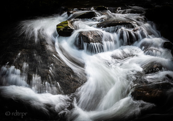 Great Smoky Mountains 2019
