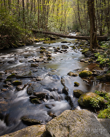 Great Smoky Mountains 2019