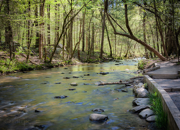 Great Smoky Mountains 2019