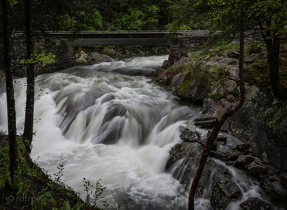 Great Smoky Mountains 2019