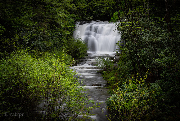 Great Smoky Mountains 2019