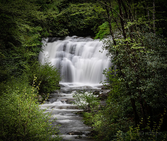 Great Smoky Mountains 2019