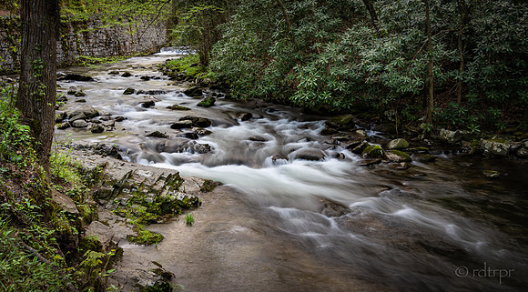Great Smoky Mountains 2019
