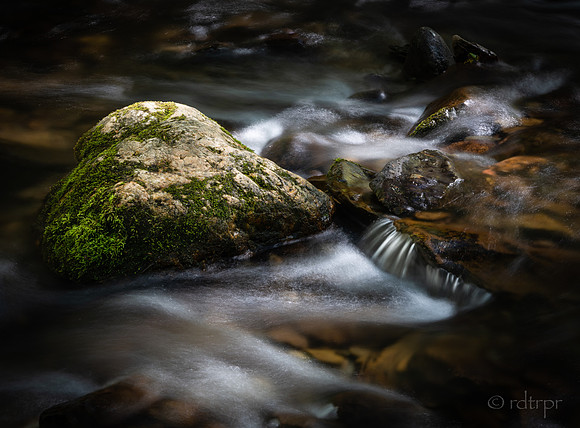 Great Smoky Mountains 2019