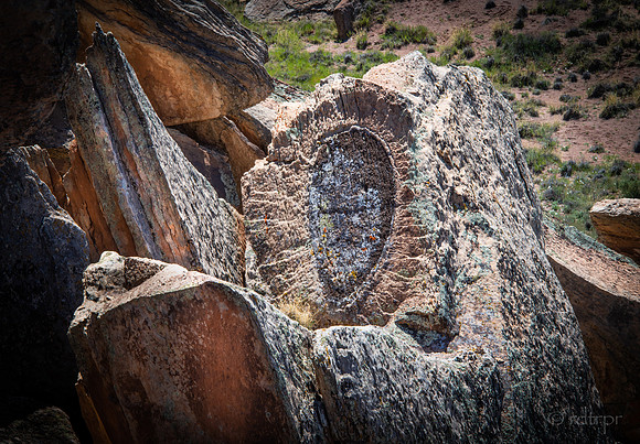 Painted Desert & Petrified Forest 2019