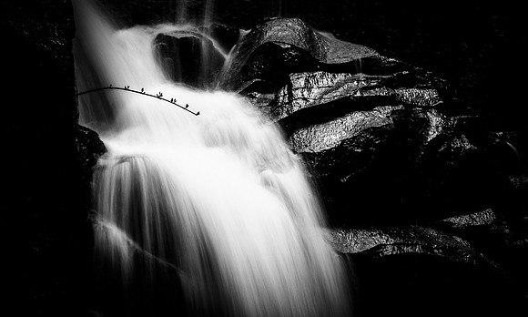 Moving Water II 2021
